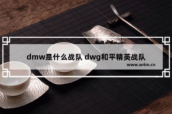 dmw是什么战队 dwg和平精英战队