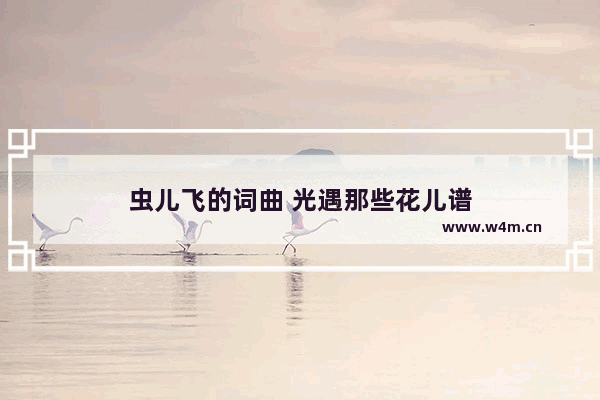 虫儿飞的词曲 光遇那些花儿谱