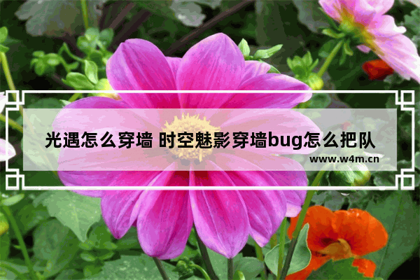 光遇怎么穿墙 时空魅影穿墙bug怎么把队友弄进来