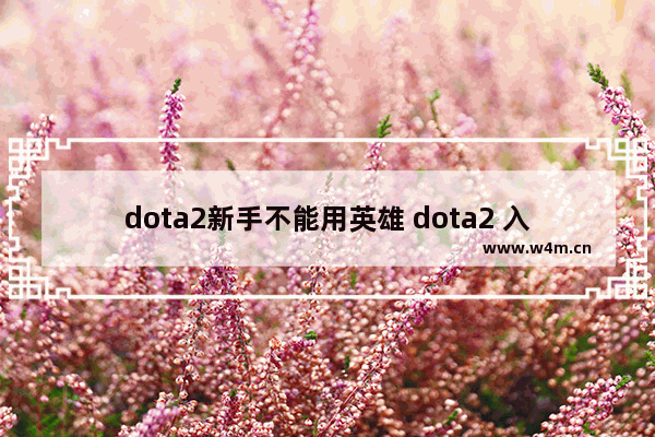 dota2新手不能用英雄 dota2 入门难