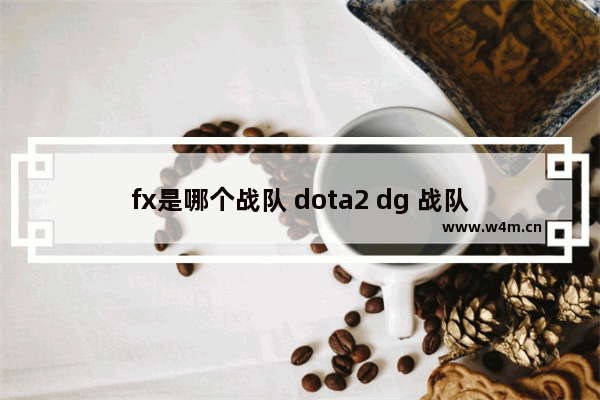 fx是哪个战队 dota2 dg 战队