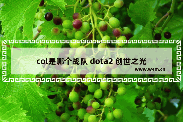 col是哪个战队 dota2 创世之光