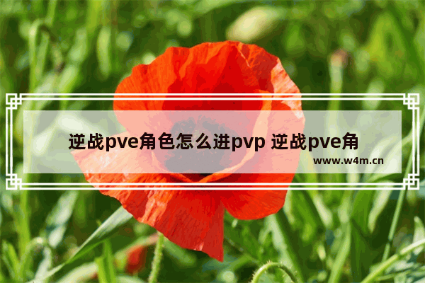 逆战pve角色怎么进pvp 逆战pve角色的技能 哪个无敌时间最长