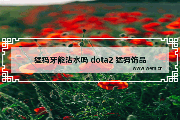 猛犸牙能沾水吗 dota2 猛犸饰品