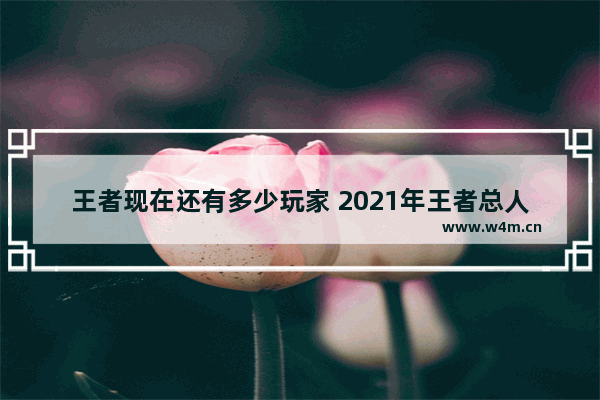 王者现在还有多少玩家 2021年王者总人数统计