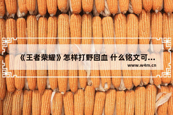 《王者荣耀》怎样打野回血 什么铭文可以打野加血