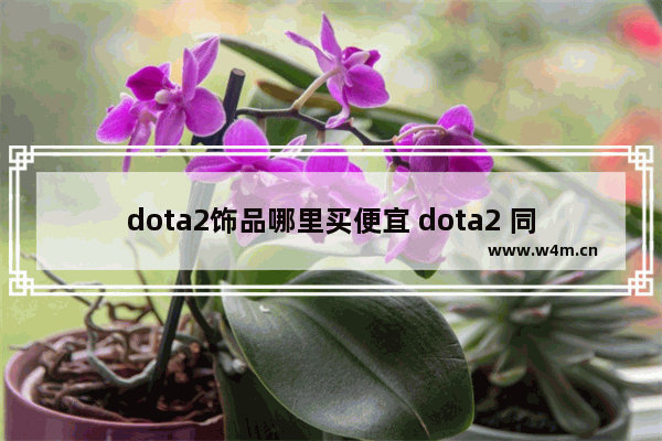 dota2饰品哪里买便宜 dota2 同名饰品