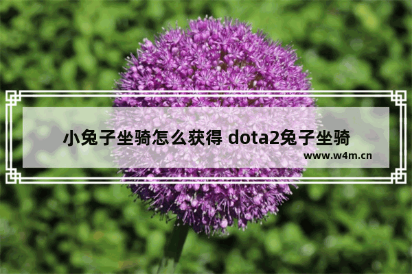 小兔子坐骑怎么获得 dota2兔子坐骑