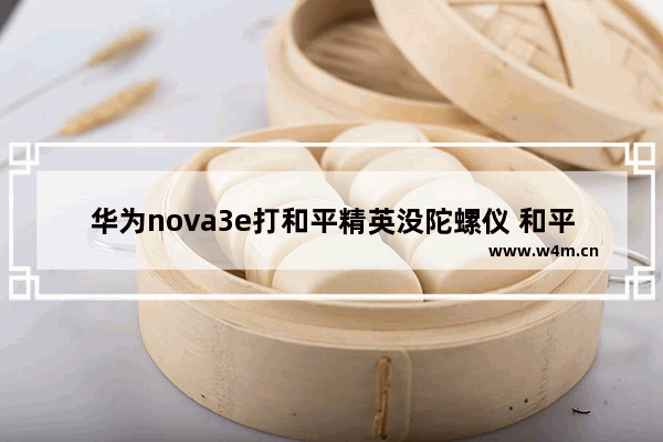 华为nova3e打和平精英没陀螺仪 和平精英谁生日