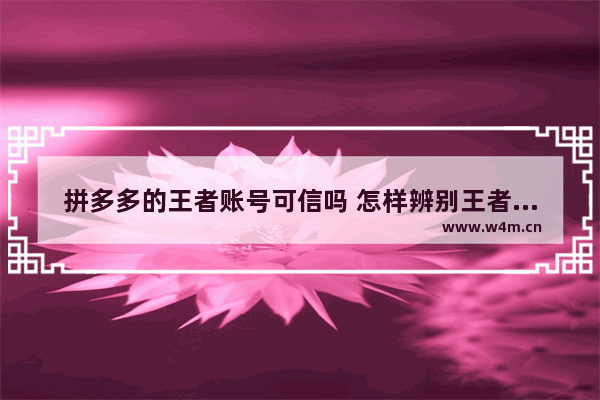 拼多多的王者账号可信吗 怎样辨别王者是不是自己的账号