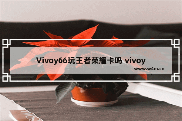 Vivoy66玩王者荣耀卡吗 vivoy66王者荣耀