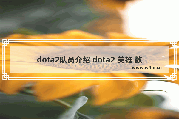 dota2队员介绍 dota2 英雄 数量