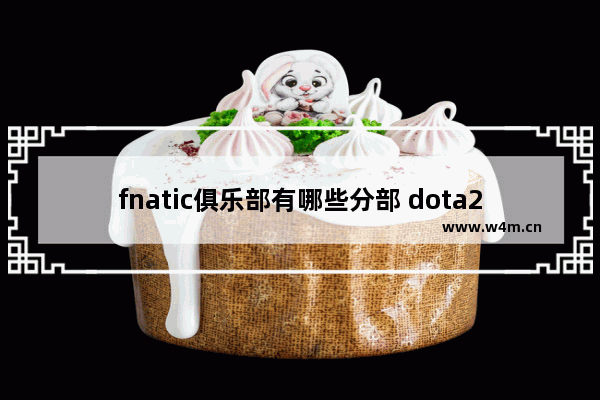 fnatic俱乐部有哪些分部 dota2和hon