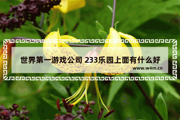 世界第一游戏公司 233乐园上面有什么好玩的游戏