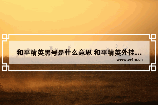 和平精英黑号是什么意思 和平精英外挂数据强制下线是什么意思