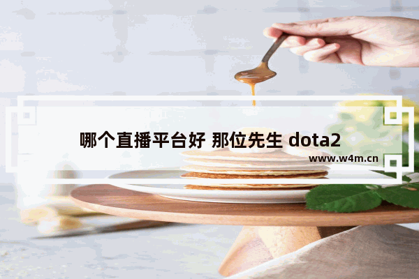 哪个直播平台好 那位先生 dota2