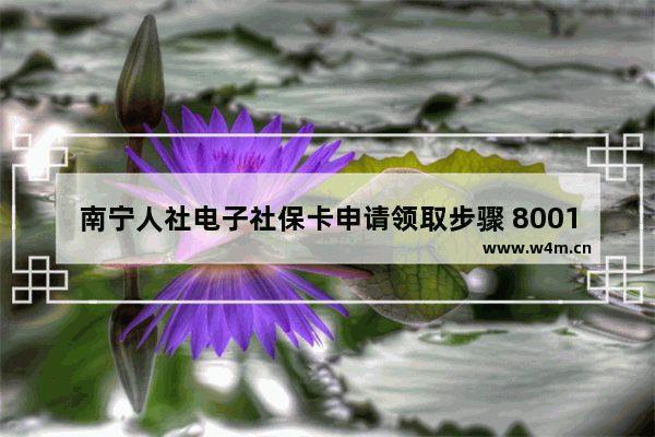 南宁人社电子社保卡申请领取步骤 8001补号发行量