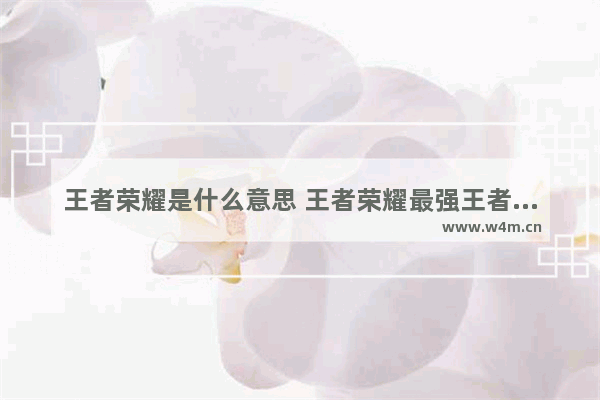 王者荣耀是什么意思 王者荣耀最强王者上星有什么用