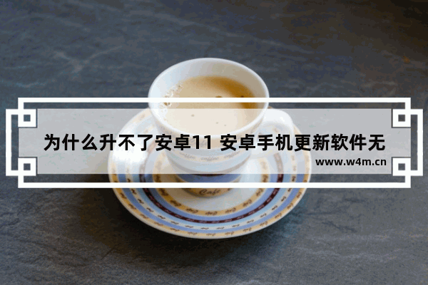 为什么升不了安卓11 安卓手机更新软件无法安装 显示安装失败 无效链接