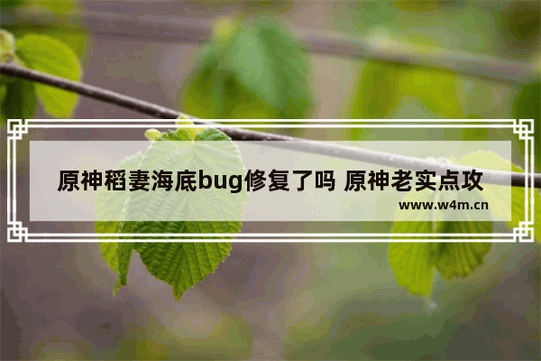 原神稻妻海底bug修复了吗 原神老实点攻略