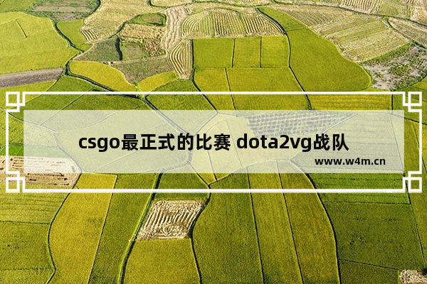 csgo最正式的比赛 dota2vg战队是哪个国家的