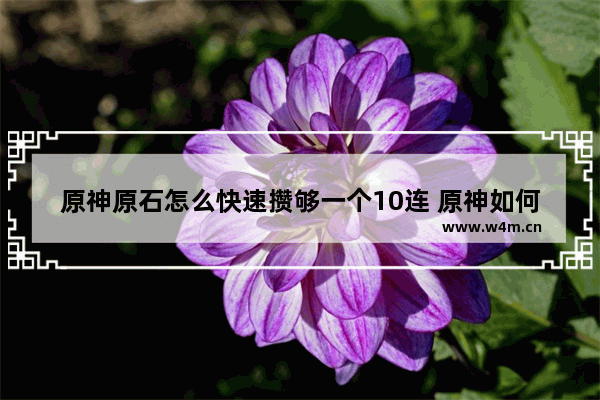 原神原石怎么快速攒够一个10连 原神如何快速攒食物