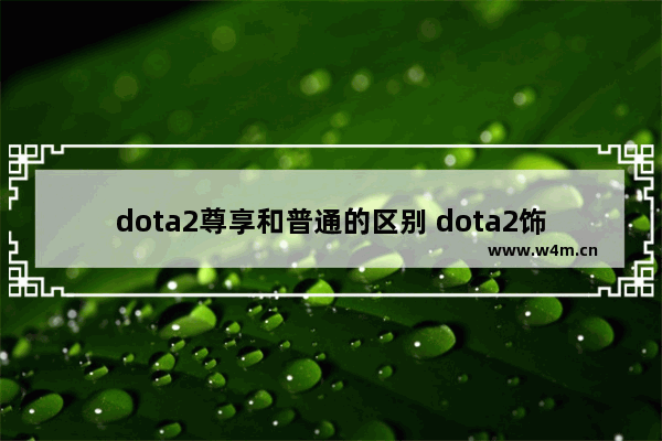 dota2尊享和普通的区别 dota2饰品前置冥灵是什么意思