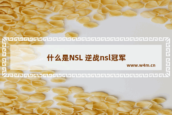 什么是NSL 逆战nsl冠军