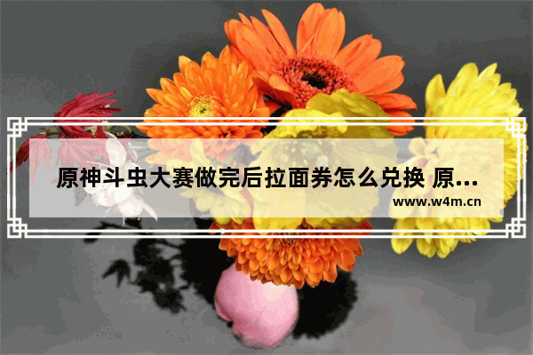 原神斗虫大赛做完后拉面券怎么兑换 原神斗虫攻略