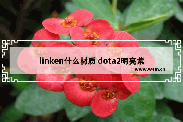 linken什么材质 dota2明亮紫