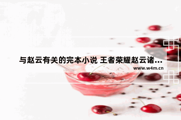 与赵云有关的完本小说 王者荣耀赵云诸葛亮文