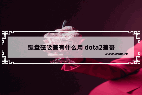 键盘磁吸盖有什么用 dota2盖哥