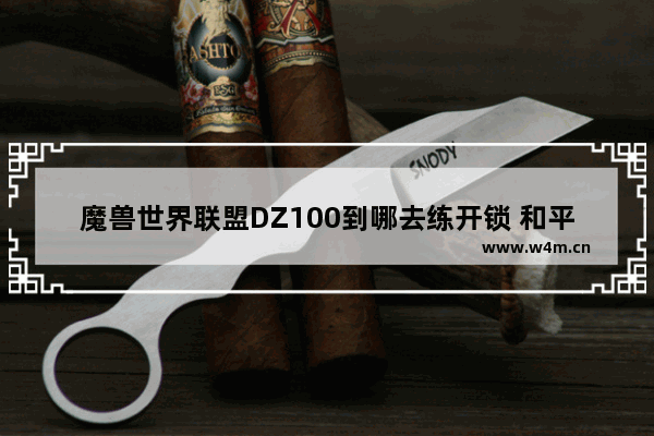 魔兽世界联盟DZ100到哪去练开锁 和平精英止水细节