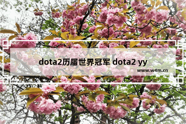 dota2历届世界冠军 dota2 yyf id