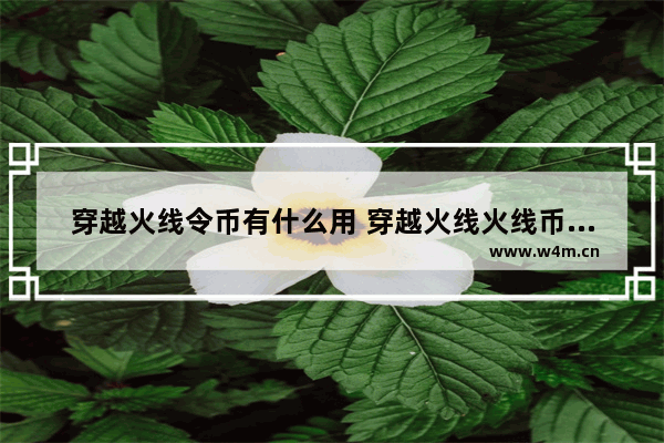 穿越火线令币有什么用 穿越火线火线币可以干嘛