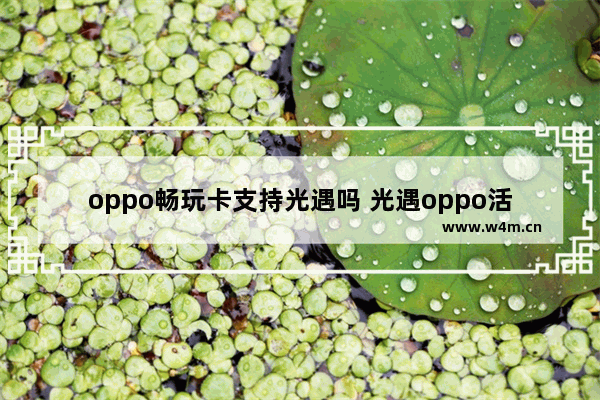 oppo畅玩卡支持光遇吗 光遇oppo活邮