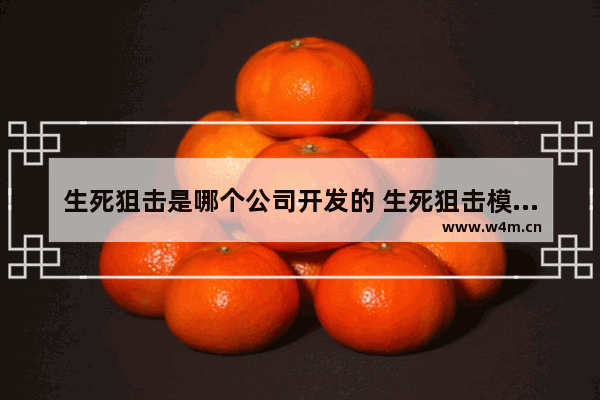 生死狙击是哪个公司开发的 生死狙击模仿逆战