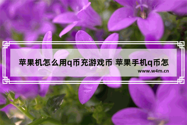 苹果机怎么用q币充游戏币 苹果手机q币怎么充王者荣耀