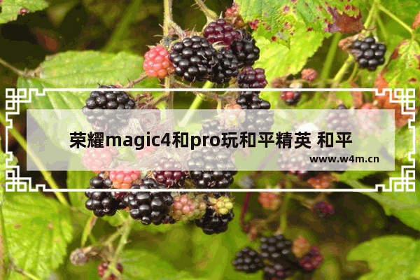 荣耀magic4和pro玩和平精英 和平精英长安大学