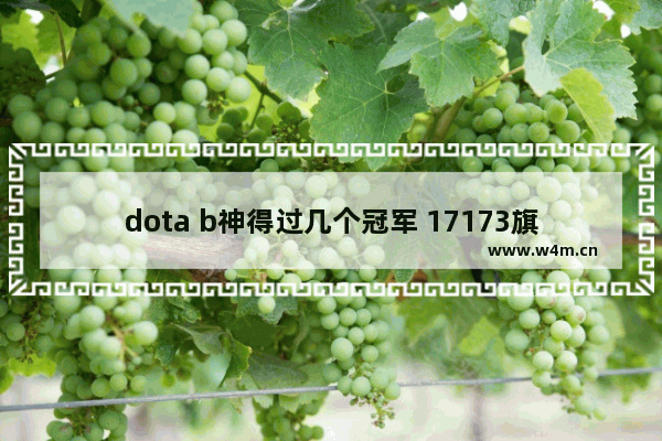 dota b神得过几个冠军 17173旗下的著名dota比赛叫做什么