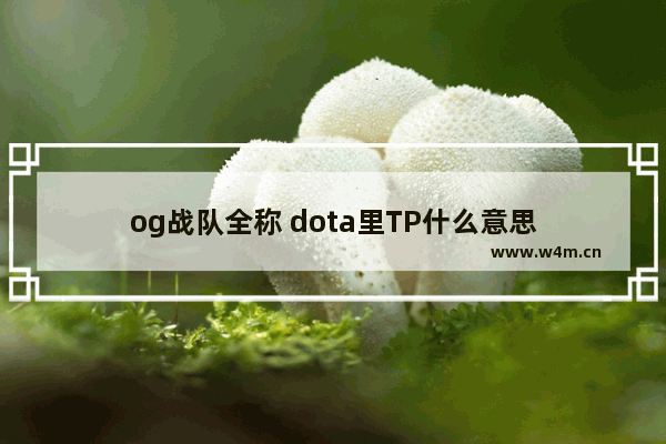 og战队全称 dota里TP什么意思