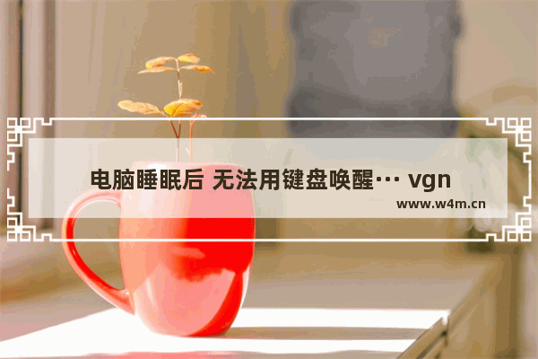 电脑睡眠后 无法用键盘唤醒··· vgnv98pro断联后怎么唤醒键盘