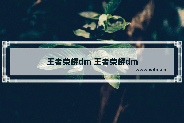 王者荣耀dm 王者荣耀dm