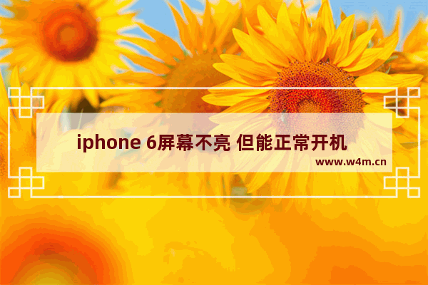 iphone 6屏幕不亮 但能正常开机 触屏正常是怎么回事 苹果零下6摄氏度能冻吗