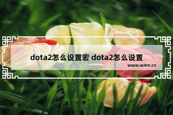 dota2怎么设置宏 dota2怎么设置ctrl