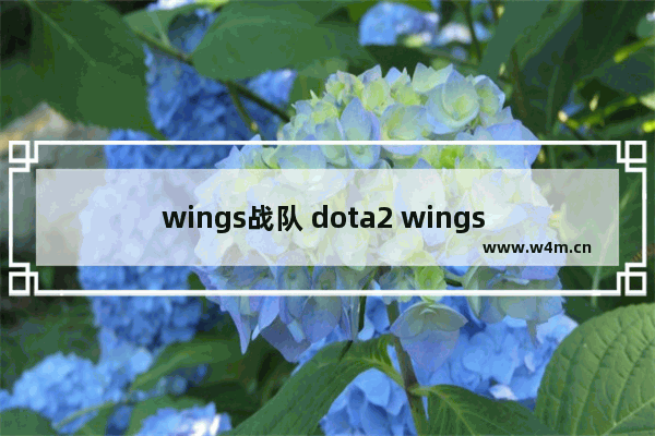 wings战队 dota2 wings 成员