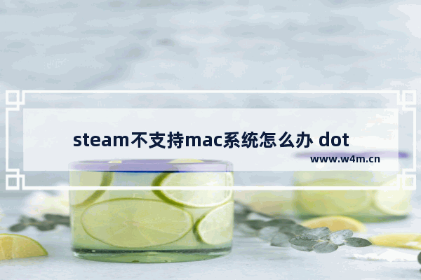 steam不支持mac系统怎么办 dota2 linux steam