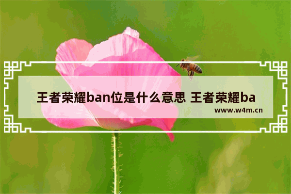 王者荣耀ban位是什么意思 王者荣耀ban是什么意思 王者荣耀ban位什么意思