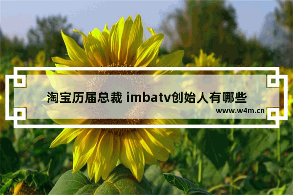 淘宝历届总裁 imbatv创始人有哪些