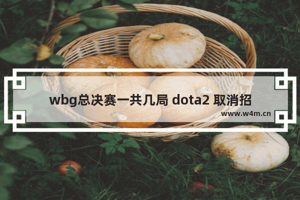 wbg总决赛一共几局 dota2 取消招募